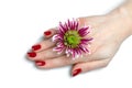 Beautiful hand with perfect nail red manicure Royalty Free Stock Photo