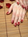 Beautiful hand with perfect nail red manicure Royalty Free Stock Photo