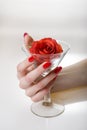 Beautiful hand with perfect red manicure Royalty Free Stock Photo