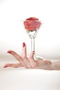 Beautiful hand with perfect red manicure Royalty Free Stock Photo