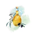 Beautiful handdrawn watercolor illustration. A bottle of olive oil and olives isolated on white background