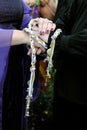 Handfasting ceremony Royalty Free Stock Photo