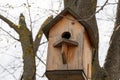 Beautiful handmade wooden birdhouse for wintering birds and squirrels Royalty Free Stock Photo