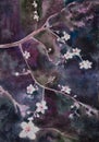 Beautiful handpainted watercolor blooming apricot tree brunch Royalty Free Stock Photo