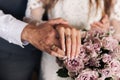 beautiful hands of the bride and groom. wedding rings Royalty Free Stock Photo