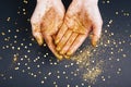 Beautiful man`s hands in golden Royalty Free Stock Photo