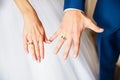Beautiful hands newlyweds display their wedding rings Royalty Free Stock Photo
