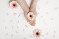 Beautiful hands of a woman holding a bud of a white chrysanthemum flower lying on a white background. the concept of Royalty Free Stock Photo