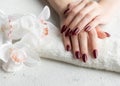 Hands of a young woman with dark red manicure on nails Royalty Free Stock Photo