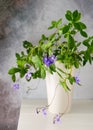 Beautiful hanging false African plant with many violet flowers in e white flowerpot. Royalty Free Stock Photo