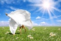 Beautiful Happy Bride Doing a Cartwheel Royalty Free Stock Photo