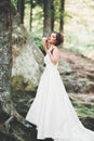 Beautiful happy bride outdoors in a forest with rocks. Wedding perfect day Royalty Free Stock Photo