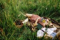 beautiful happy bride and stylish retro groom lying on tweed blanket, cuddling and relaxing, picnic in sunny meadow Royalty Free Stock Photo