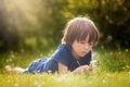 Beautiful happy child, boy, exploring nature with magnifying glass, summertime Royalty Free Stock Photo