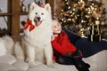 Beautiful happy girl in a red sweater hugging a big white dog in Royalty Free Stock Photo