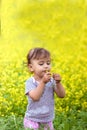 Beautiful happy little baby girl on a green meadow with yellow flowers dandelions on the nature in the park Royalty Free Stock Photo