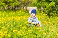 Beautiful happy little baby girl sitting on a green meadow with yellow flowers dandelions on the nature in the park. Royalty Free Stock Photo