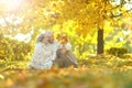 Beautiful happy senior couple relaxing in park with autumn leaves Royalty Free Stock Photo