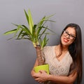 Beautiful happy woman holding plant in vase against gray background Royalty Free Stock Photo