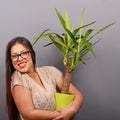 Beautiful happy woman holding plant in vase against gray background Royalty Free Stock Photo