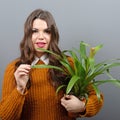 Beautiful happy woman holding plant in vase against gray background Royalty Free Stock Photo