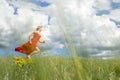 Beautiful happy woman in red dress runs on a green field Royalty Free Stock Photo