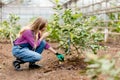 Beautiful hardworking woman taking care of the garden