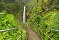 Beautiful Hawaii Big Island nature background Royalty Free Stock Photo