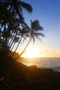 Beautiful Hawaii nature background with ocean Royalty Free Stock Photo