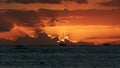 Beautiful Hawaiian Sunset over the ocean Royalty Free Stock Photo