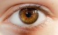 A beautiful hazel eye close up Royalty Free Stock Photo