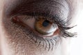 Beautiful hazel eye with makeup Royalty Free Stock Photo