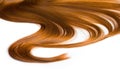 Beautiful healthy hair texture Royalty Free Stock Photo