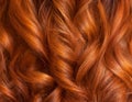 Beautiful, healthy, long, curly, red hair close up. Royalty Free Stock Photo