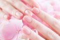 Beautiful Healthy nails. Manicure, Beautiful Woman`s hands, Spa. Female hands with beautiful natural pink french elegant manicure