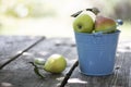 Beautiful and healthy pears in a bucket