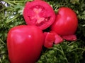 Beautiful healthy tomato for breakfast