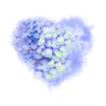 Beautiful heart figure made of blue-yellow hydrangea, fog, isolated on white background. Hand drawn watercolor