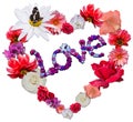 Beautiful heart with legend made of different flowers Royalty Free Stock Photo