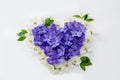 A beautiful heart made of flowers. White and blue florets in the Royalty Free Stock Photo