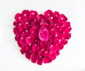 Beautiful heart of pink rose petals Royalty Free Stock Photo