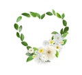 Beautiful heart shaped composition made with tender flowers and green leaves on white background Royalty Free Stock Photo