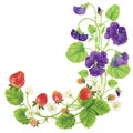 Beautiful heartsease . vector illustration of a realistic