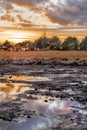 Beautiful heat-land with a small pond at colorful sunset, The Netherlands