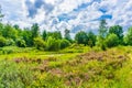 Beautiful heather meadow nature landscape with blue sky and clouds