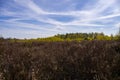 Beautiful heathland in the Drover Heide nature reserve