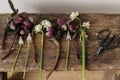 Beautiful helleborus, muscari, daffodils and scissors on rustic wooden background. First spring flowers gardening. Floral spring Royalty Free Stock Photo