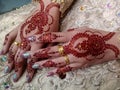 beautiful henna with beautiful color engraving Royalty Free Stock Photo