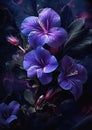 Beautiful Hibiscus Flower in a Vibrant Purple hue with Blue Ligh Royalty Free Stock Photo