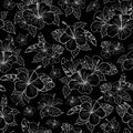 Beautiful hibiscus tropical flower linear pattern vector. Black and white. Illustration